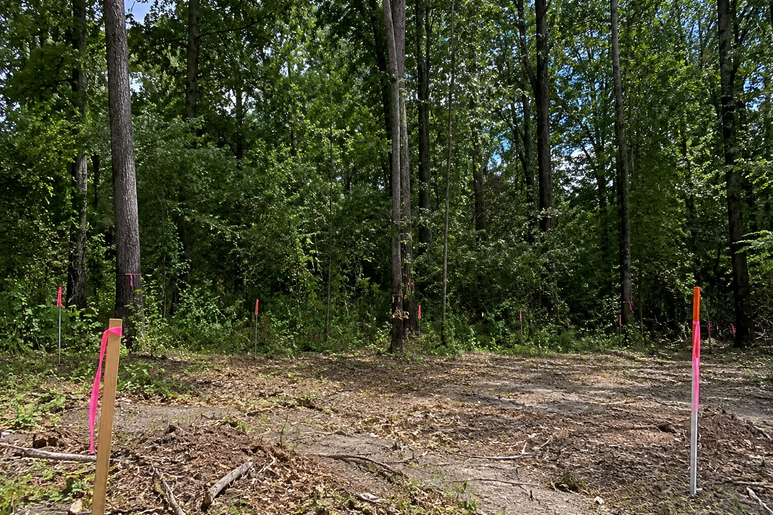 Tree line in wooded area with survey stakes and pink flags marking land boundaries for potential development in a residential community