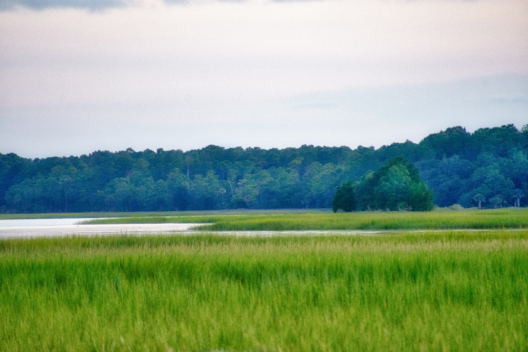 Highway 41 Construction Could Begin in Early 2027: What Charleston Residents, Buyers, and Investors Need to Know
